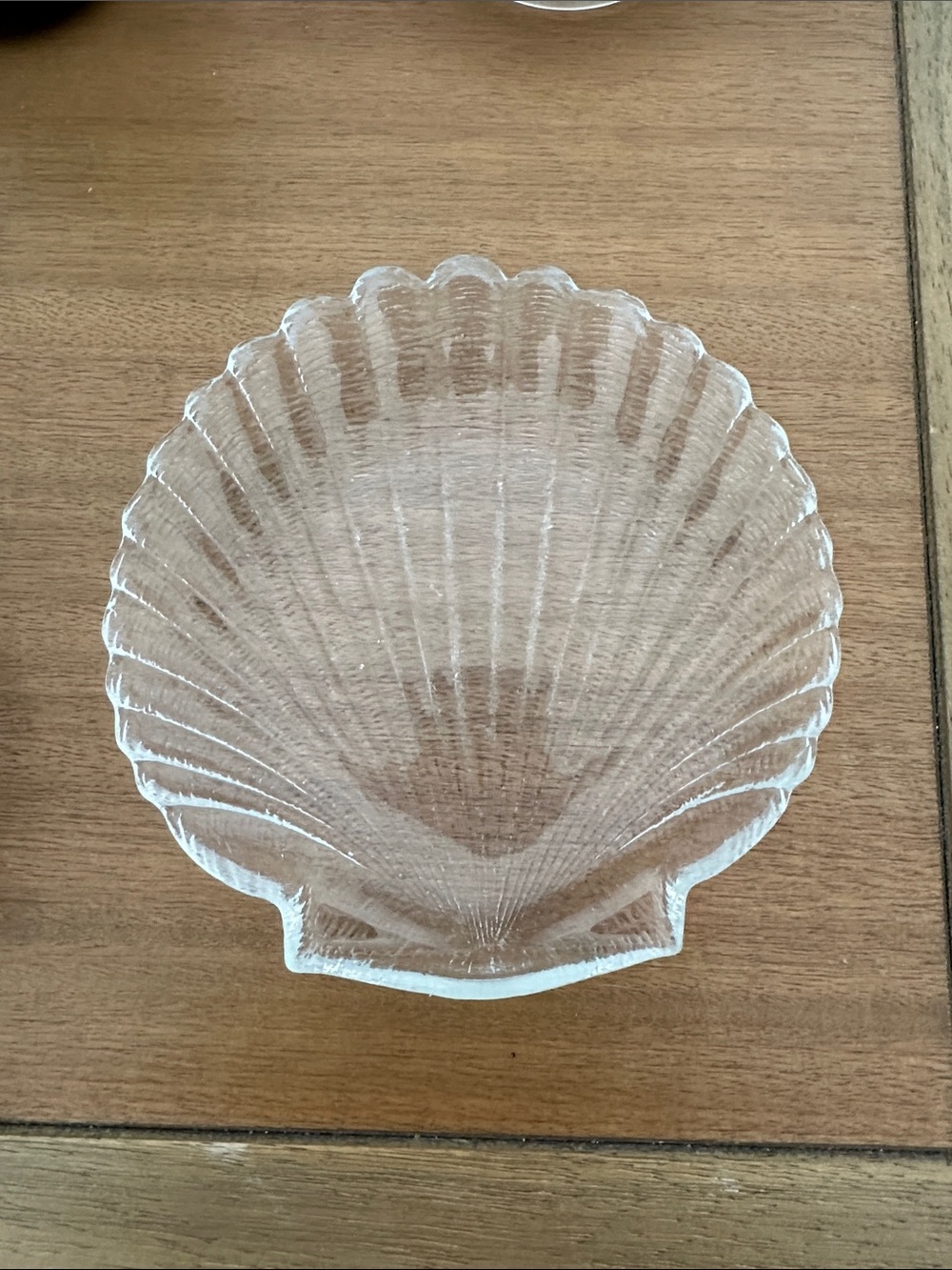 Clear Glass Shell Dish